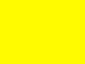 Yellow-LI-Wilhelm-Haojiang